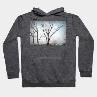 Eagle Nest in Winter Painterly Hoodie